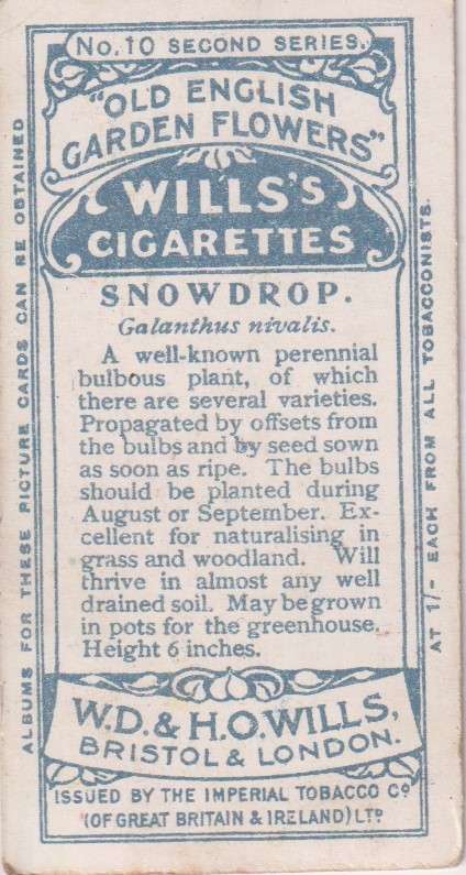 Cigarette Card Old English Garden Flower No. 10