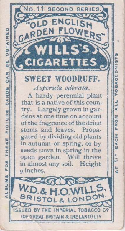 Cigarette Card Old English Garden Flower No. 11