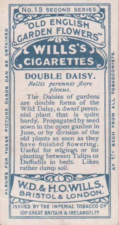Cigarette Card Old English Garden Flower No. 13