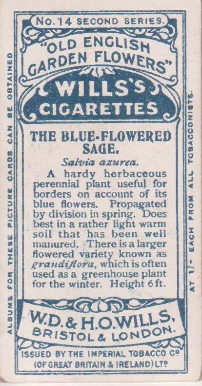 Cigarette Card Old English Garden Flower No. 14