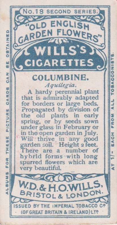 Cigarette Card Old English Garden Flower No. 18