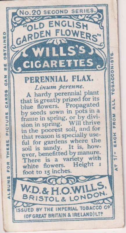 Cigarette Card Old English Garden Flower No. 20