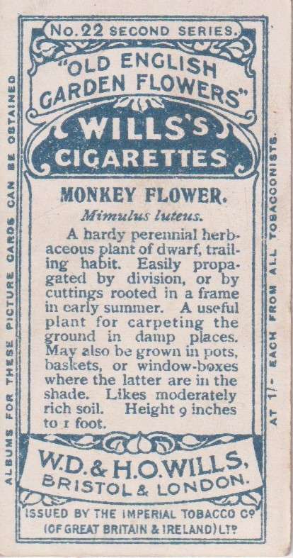 Cigarette Card Old English Garden Flower No. 22