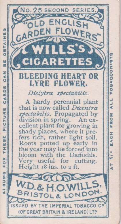 Cigarette Card Old English Garden Flower No. 25