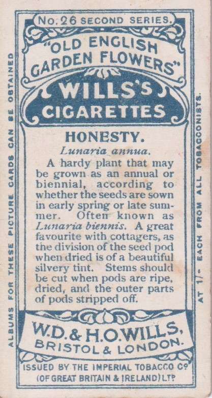Cigarette Card Old English Garden Flower No. 26