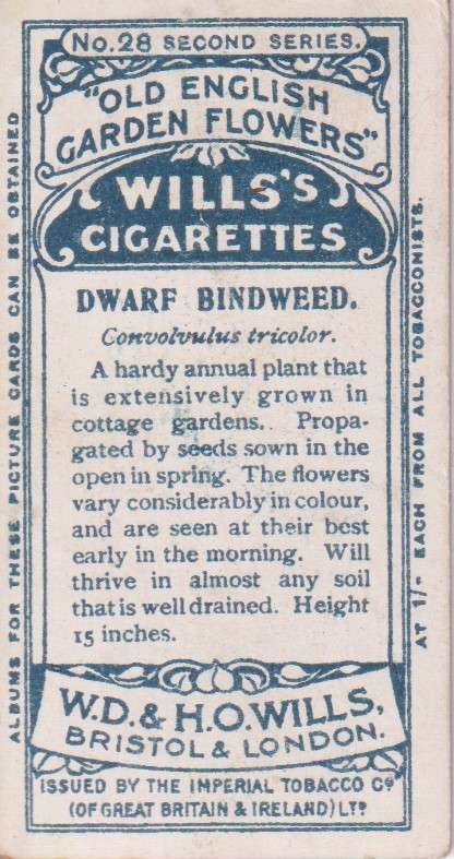 Cigarette Card Old English Garden Flower No. 28