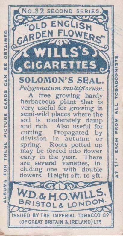 Cigarette Card Old English Garden Flower No. 32