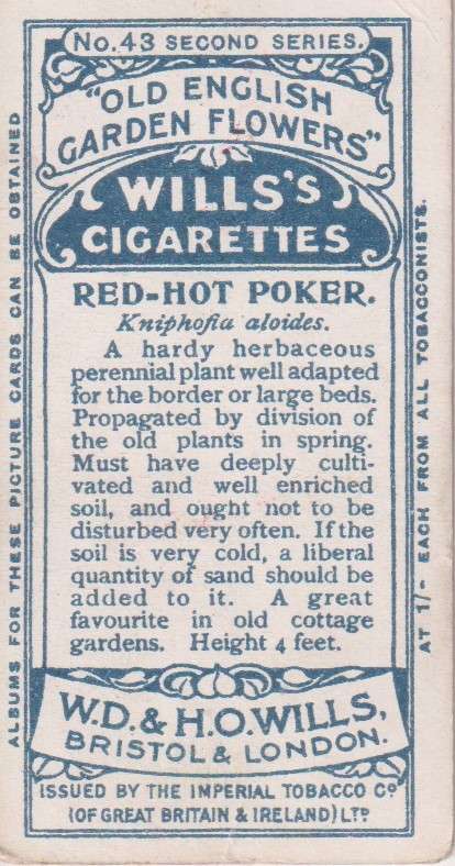 Cigarette Card Old English Garden Flower No. 43
