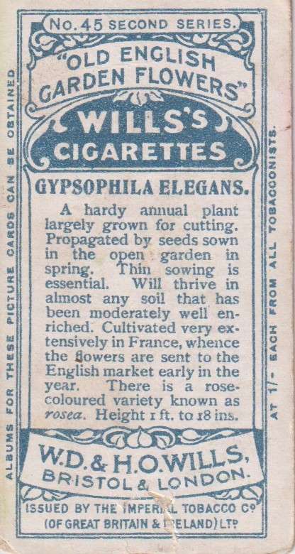 Cigarette Card Old English Garden Flower No. 45