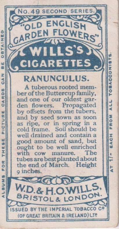 Cigarette Card Old English Garden Flower No. 49