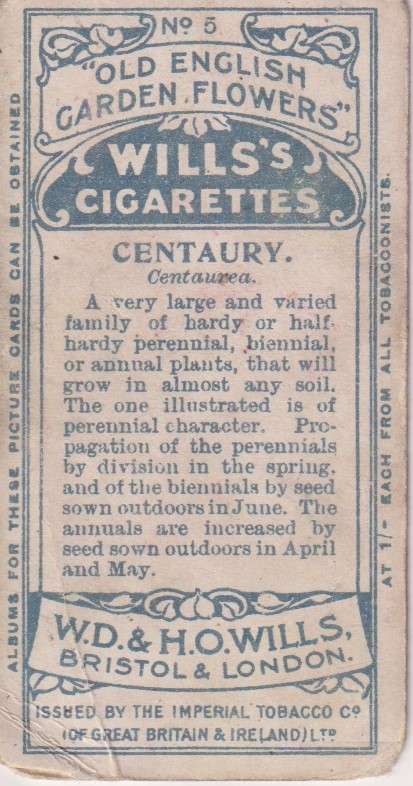 Cigarette Card Old English Garden Flower No. 5