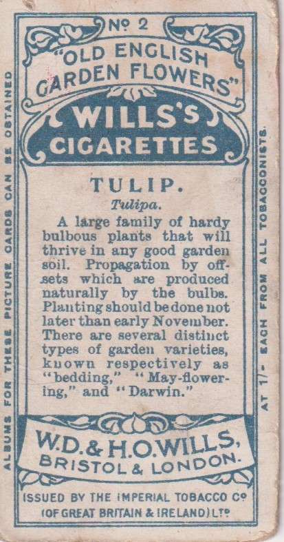 Cigarette Card Old English Garden Flower No. 2