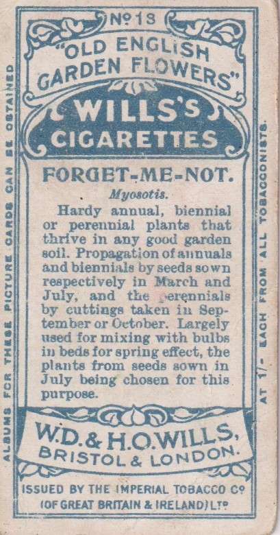 Cigarette Card Old English Garden Flower No. 13