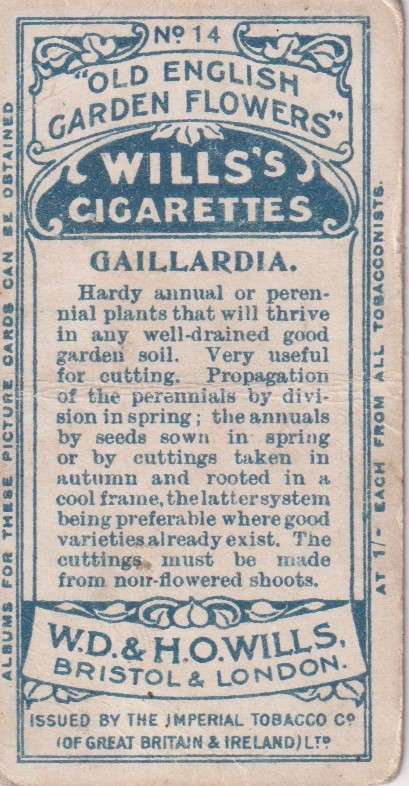 Cigarette Card Old English Garden Flower No. 14