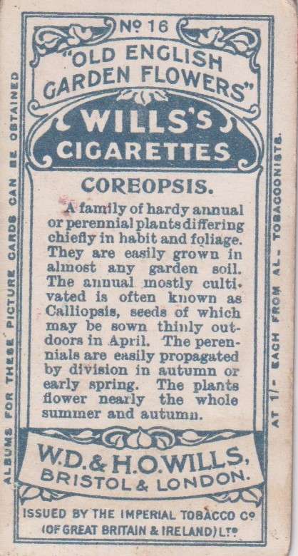 Cigarette Card Old English Garden Flower No. 16