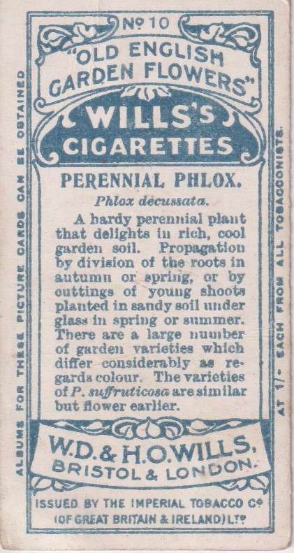 Cigarette Card Old English Garden Flower No. 9