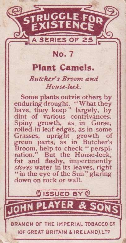 Cigarette Card Struggle for Existence No. 7