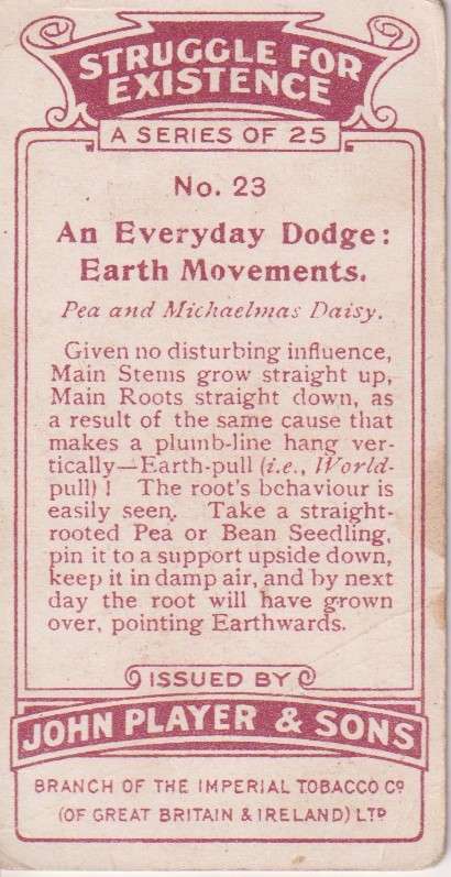 Cigarette Card Struggle for Existence No. 23