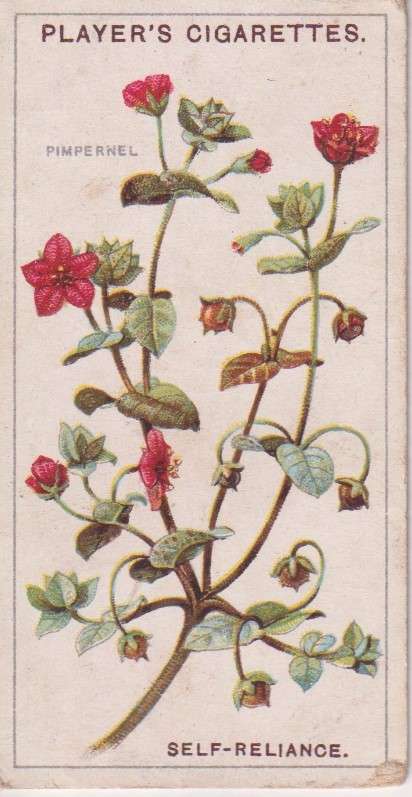 Cigarette Card Struggle for Existence No. 12