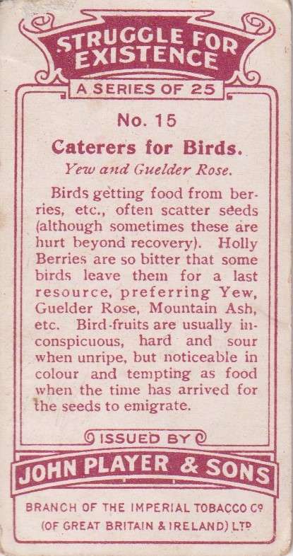 Cigarette Card Struggle for Existence No. 15