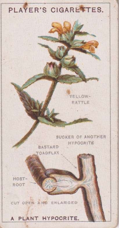 Cigarette Card Struggle for Existence No. 5