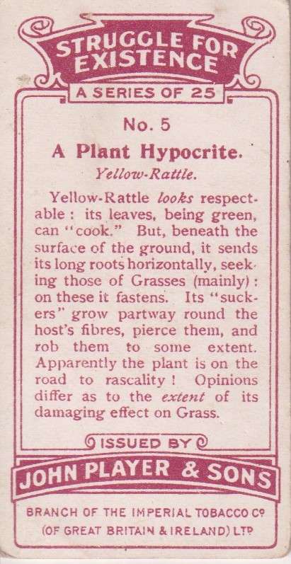 Cigarette Card Struggle for Existence No. 5