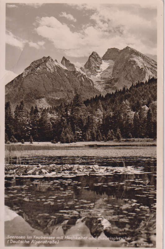 Post Cards / Maxi Card used