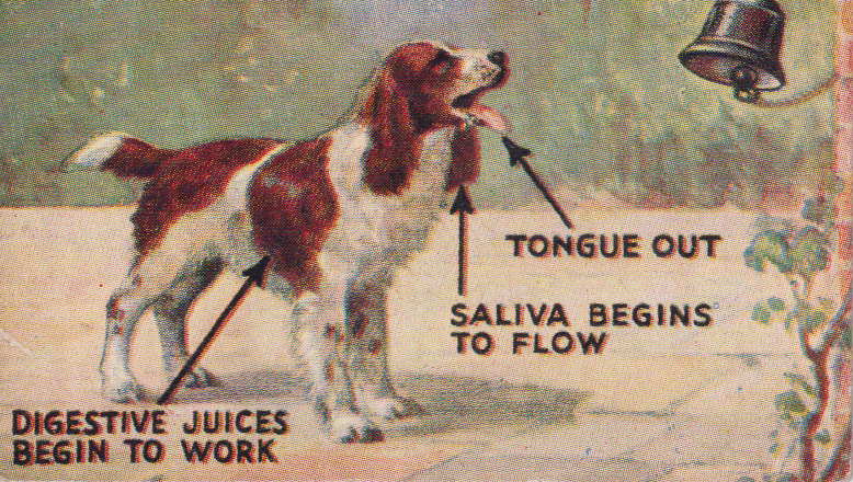 Cigarette Card This Age of Power & Wonder No. 60