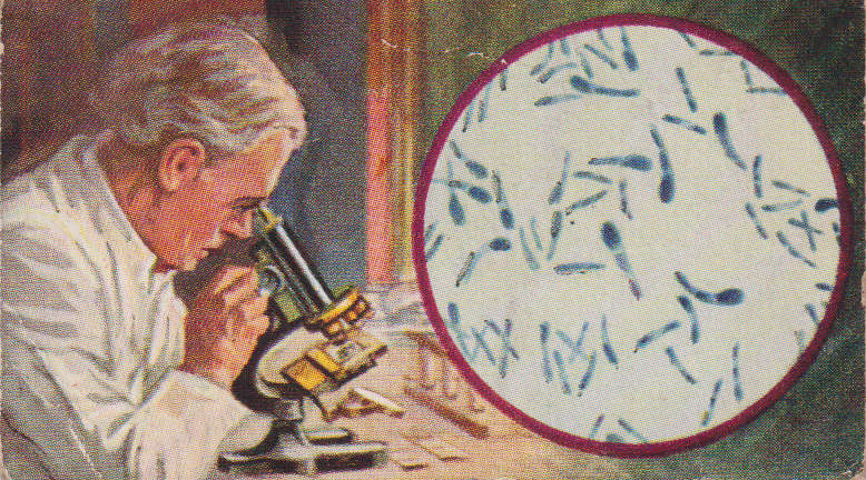 Cigarette Card This Age of Power & Wonder No. 71