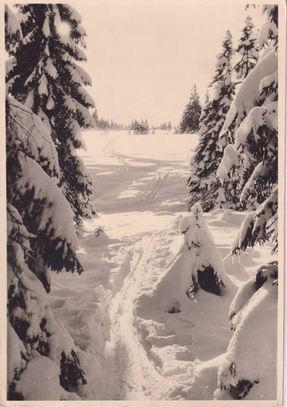 Post Cards / Maxi Card used