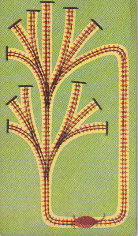 Cigarette Card This Age of Power & Wonder No. 62