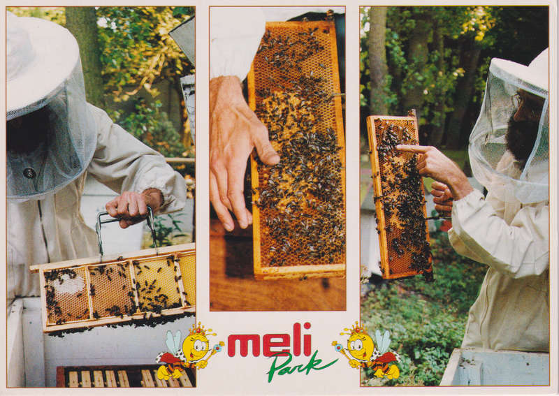 Post Cards / Maxi Card used