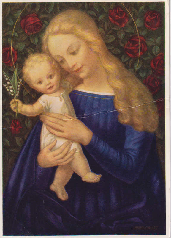 Post Cards / Maxi Card used