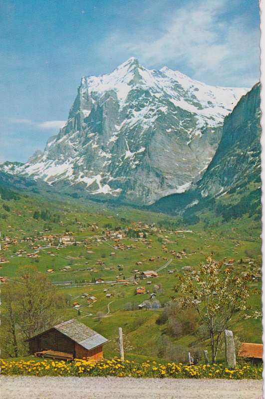 Post Cards / Maxi Card used