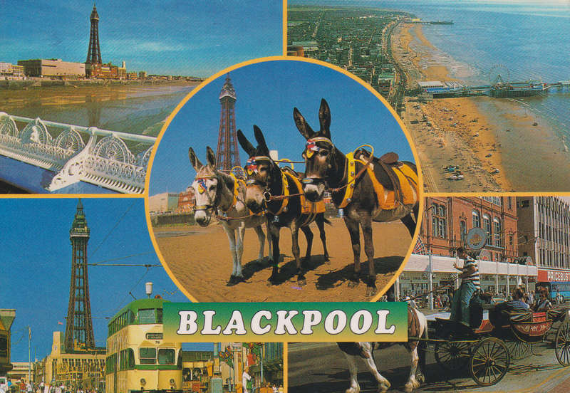 Post Cards / Maxi Card used