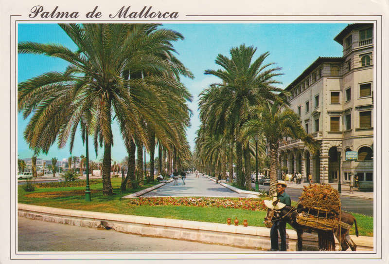 Post Cards / Maxi Card used