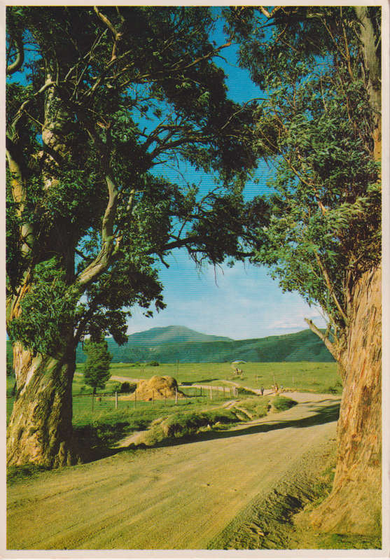 Post Cards / Maxi Card used