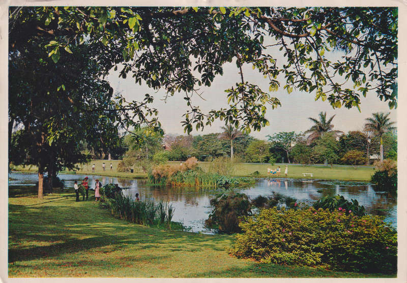 Post Cards / Maxi Card used