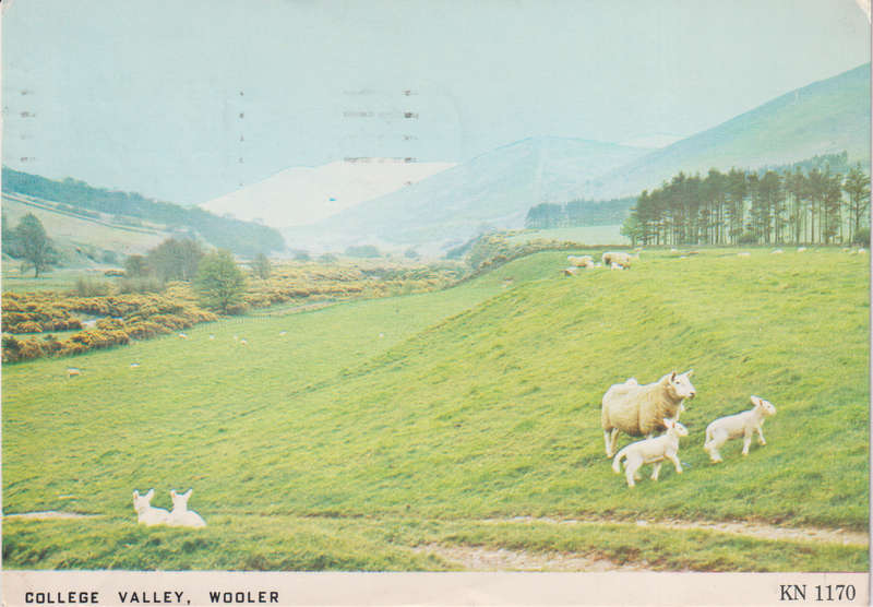 Post Cards / Maxi Card used