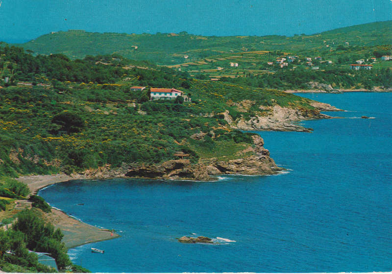 Post Cards / Maxi Card used