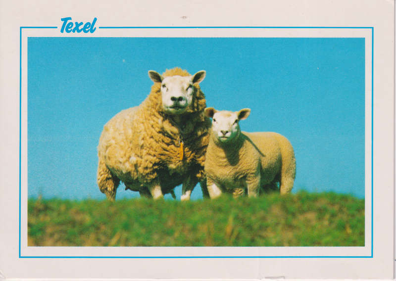 Post Cards / Maxi Card used