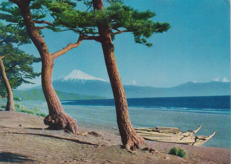Post Cards / Maxi Card used