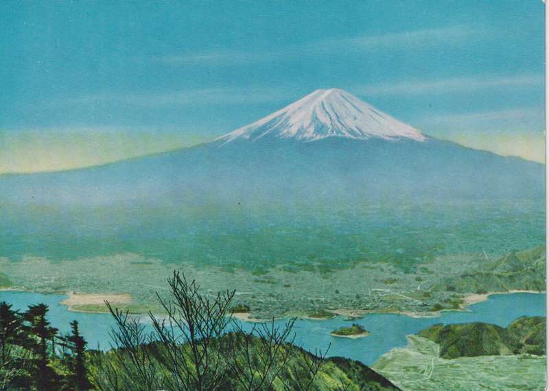 Post Cards / Maxi Card used