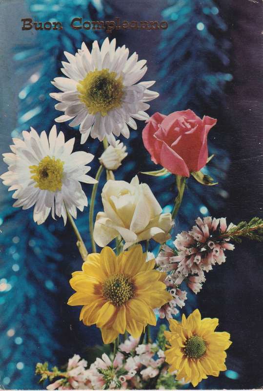 Post Cards / Maxi Card used