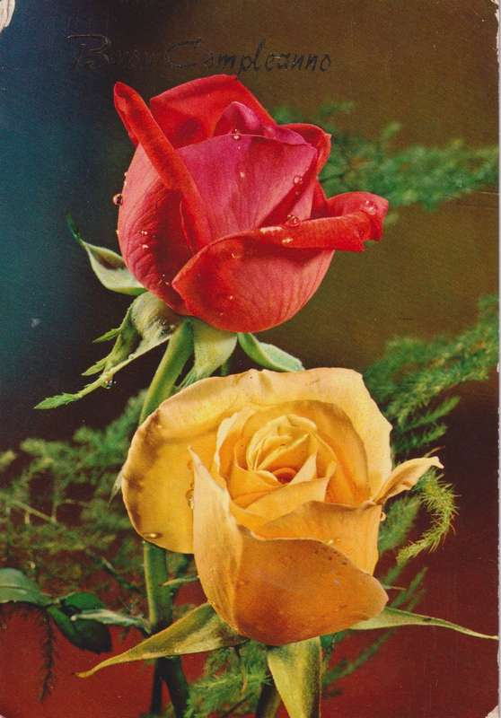 Post Cards / Maxi Card used