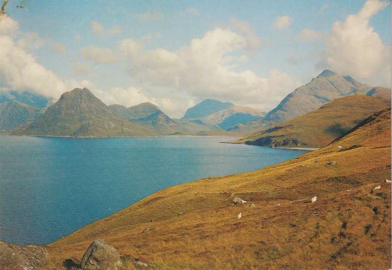 Post Cards / Maxi Card used
