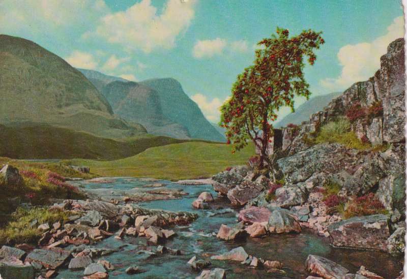 Post Cards / Maxi Card used