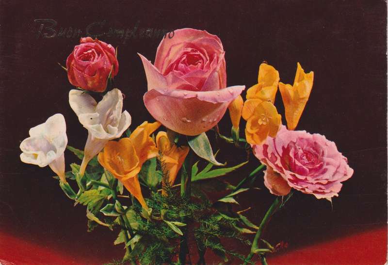 Post Cards / Maxi Card used