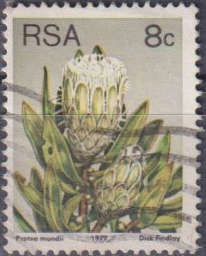 Stamps RSA 1977 Flora - Protea Plants
