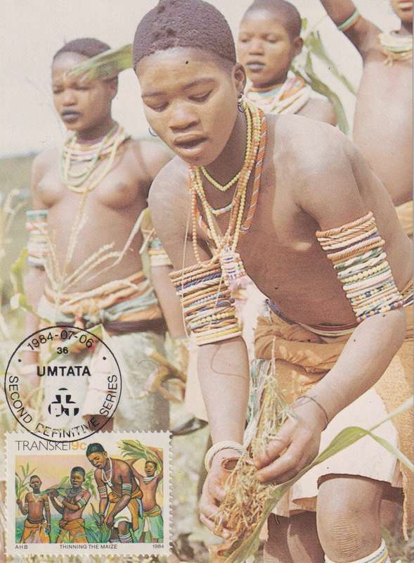 Maxi Card Transkei 1984 Xhosa Culture